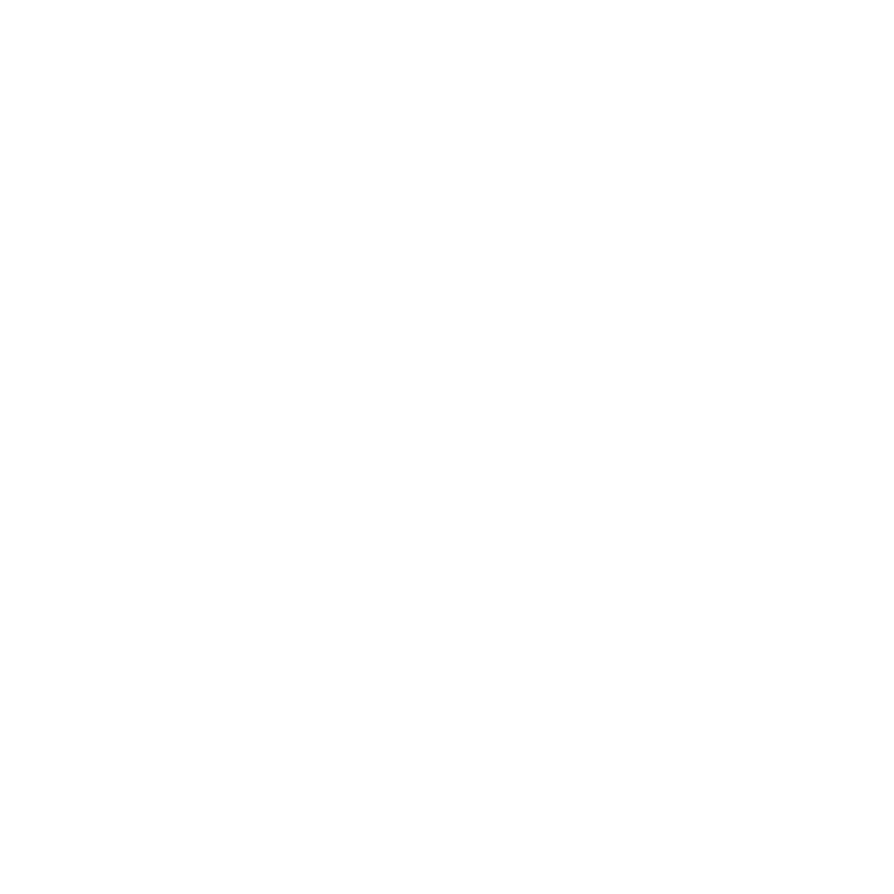 netz_right_white.png
